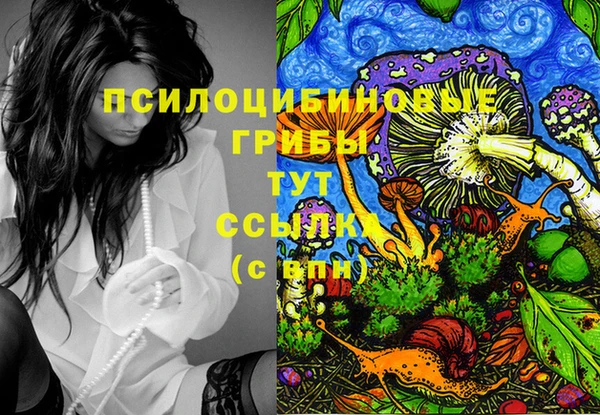 PSILOCYBIN Красноперекопск