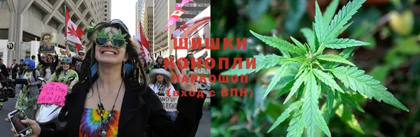 PSILOCYBIN Красноперекопск