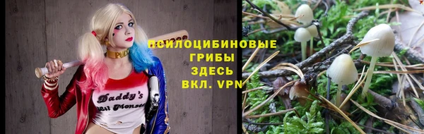 ешки Краснослободск