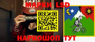 трава Гатчина
