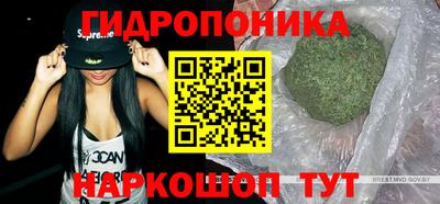 дживик Гагарин