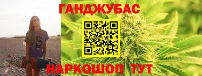 трава Гатчина